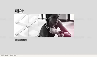 全碳钢折叠片