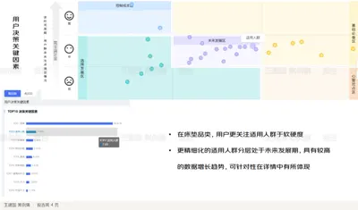报告第 4 页