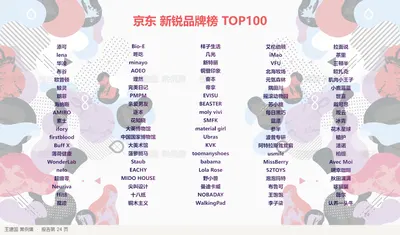 京东新锐品牌榜TOP100